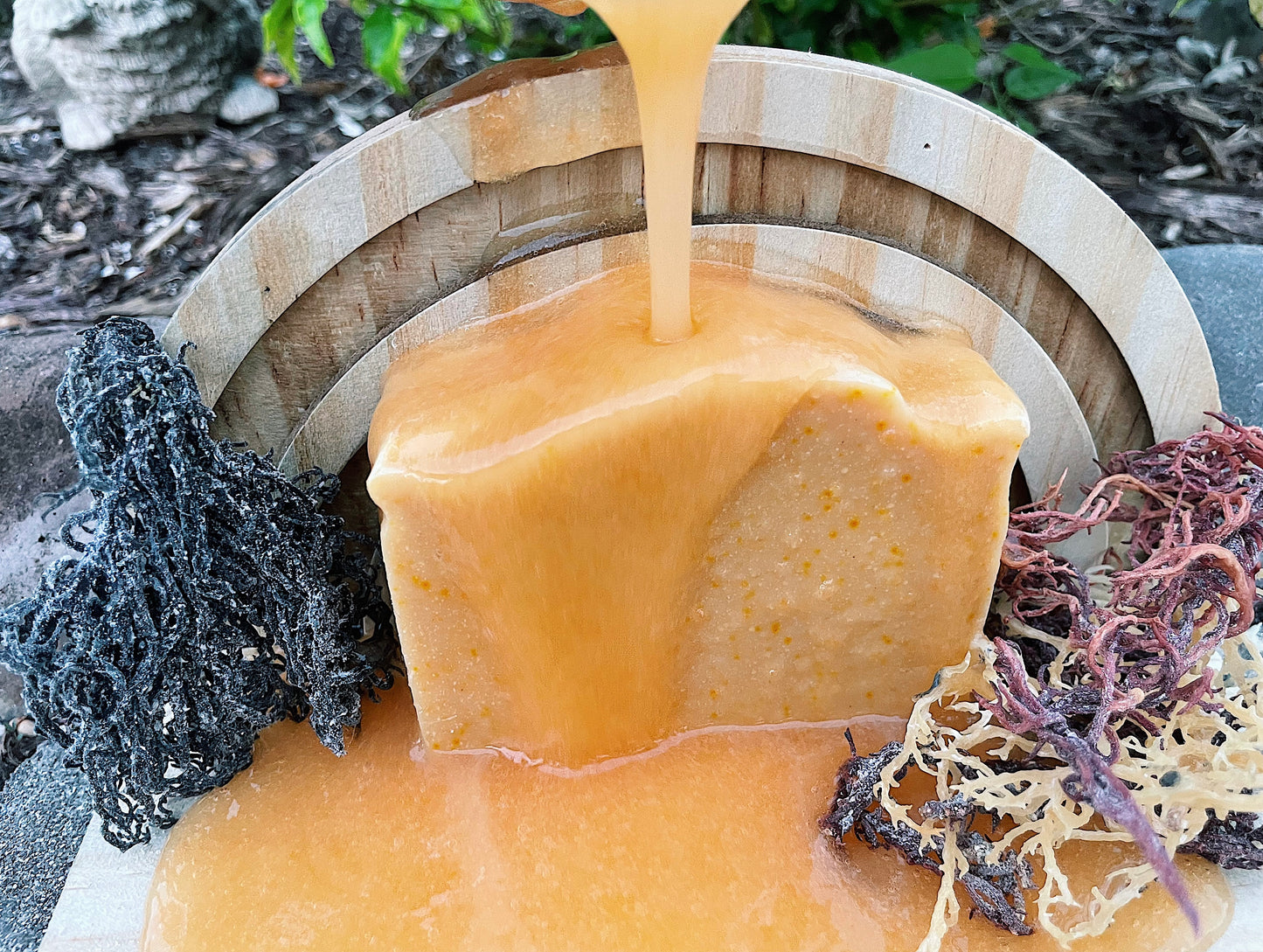 SEAMOSS + TALLOW FACIAL CLEANSING BARS