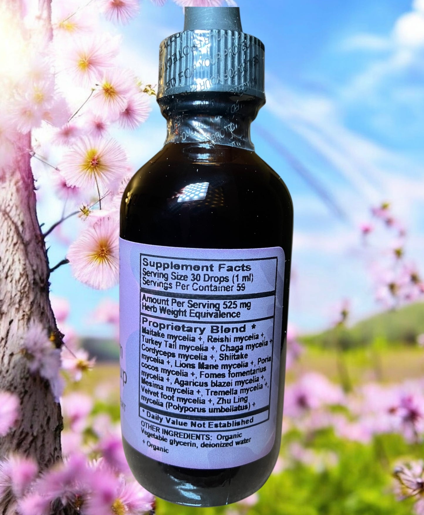 MAGIC MUSHROOM HEALTH SYRUP