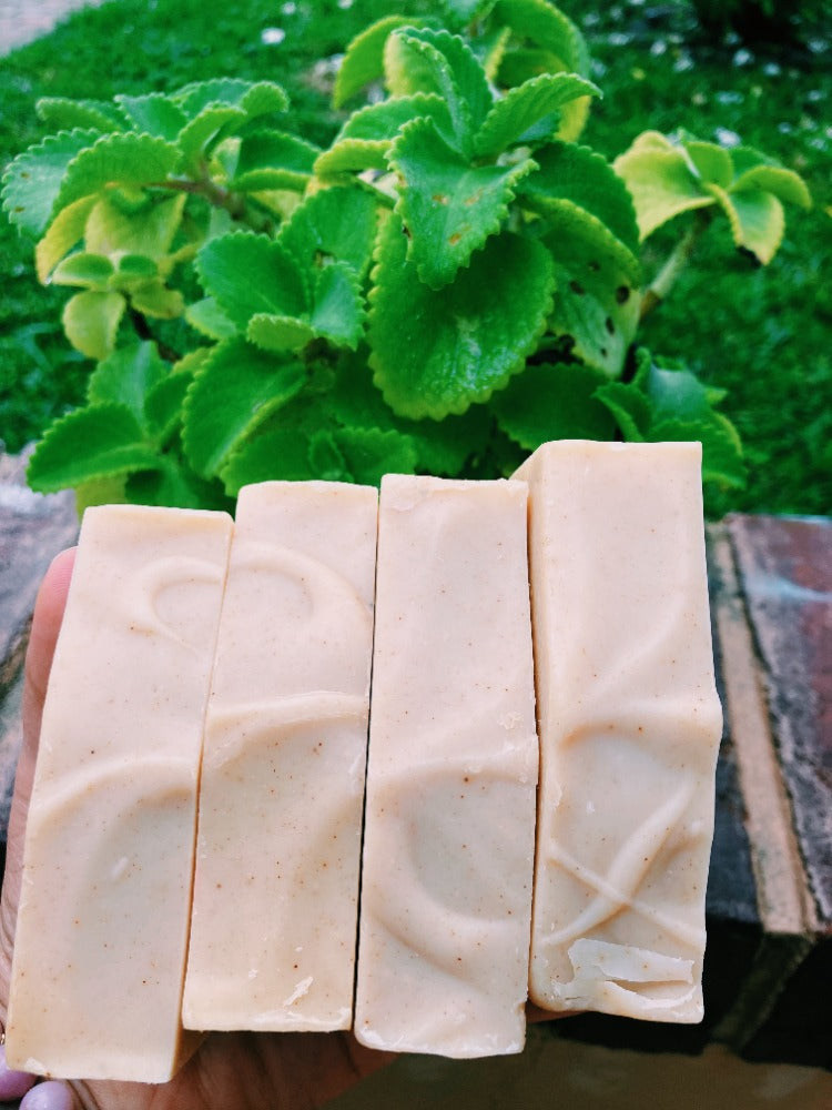 *NEW* HONEY-TURMERIC + GOATS MILK, SEAMOSS & TALLOW FACE AND BODY SOAP