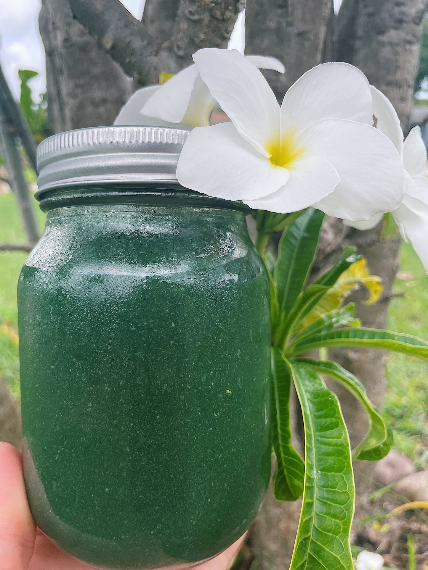 GREEN GODDESS MOSS~