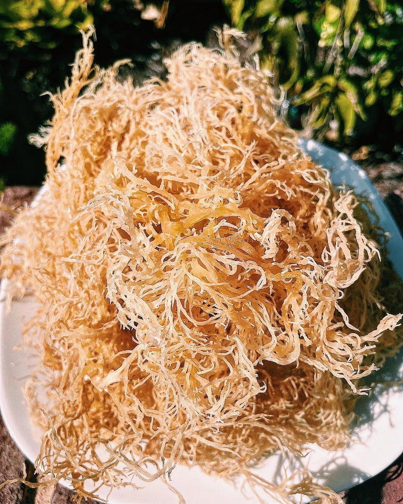 Authentic St. Lucia Dried Seamoss