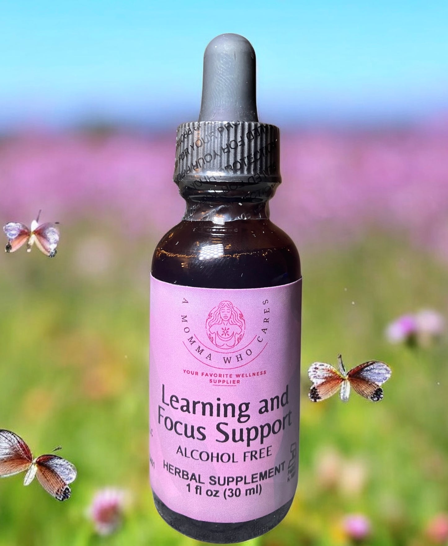 Learning and Focus Support