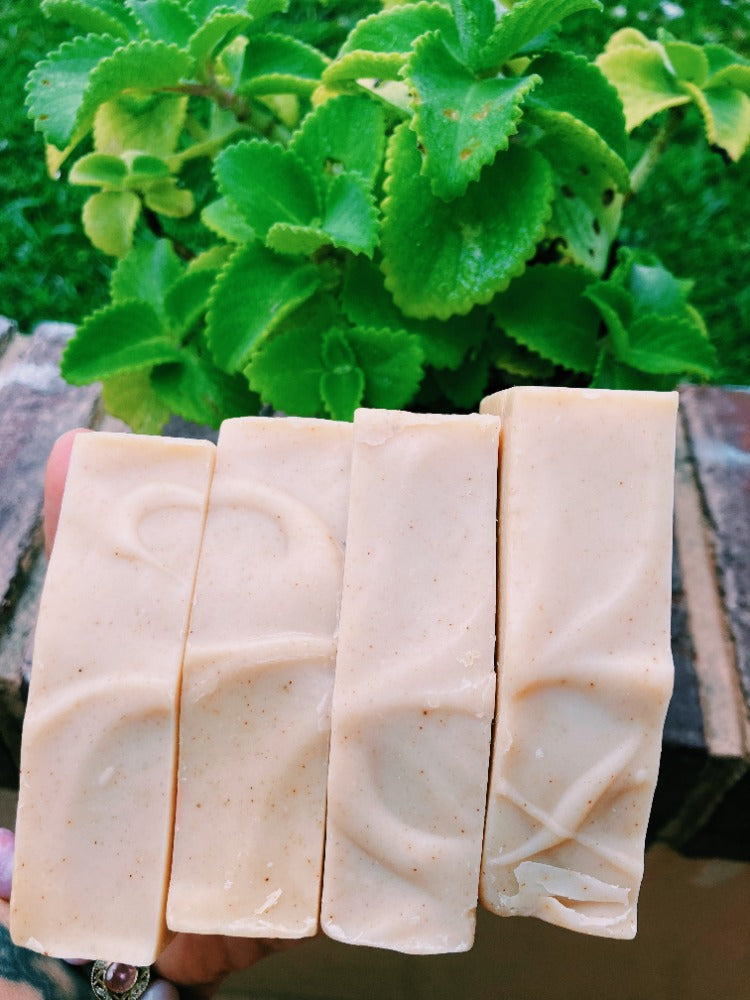*NEW* HONEY-TURMERIC + GOATS MILK, SEAMOSS & TALLOW FACE AND BODY SOAP