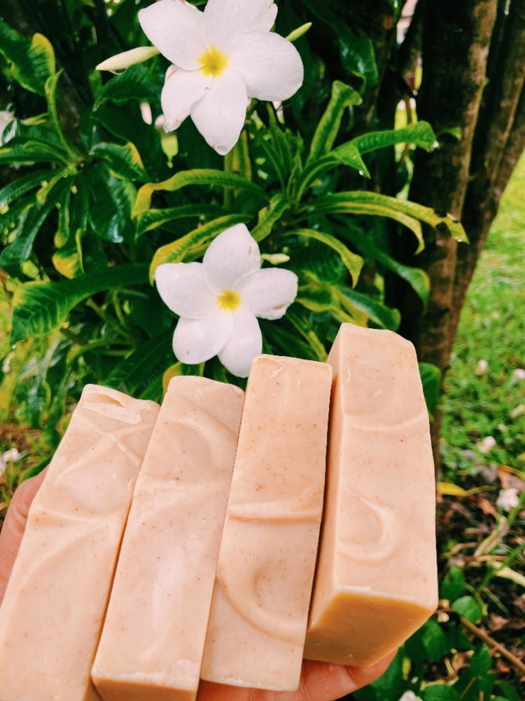 *NEW* HONEY-TURMERIC + GOATS MILK, SEAMOSS & TALLOW FACE AND BODY SOAP