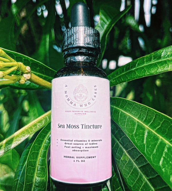 SEA MOSS TINCTURE Amommawhocares